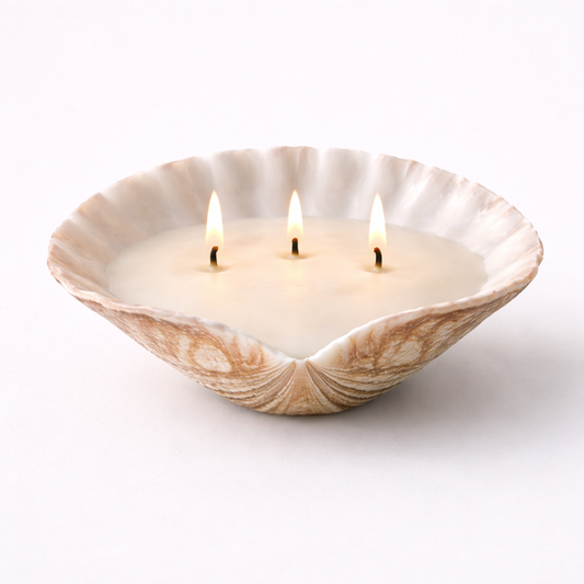 NIVERA | Shell Candle